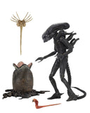 Alien 1979 Actionfigur Ultimate 40th Anniversary Big Chap 23 cm - Smalltinytoystore