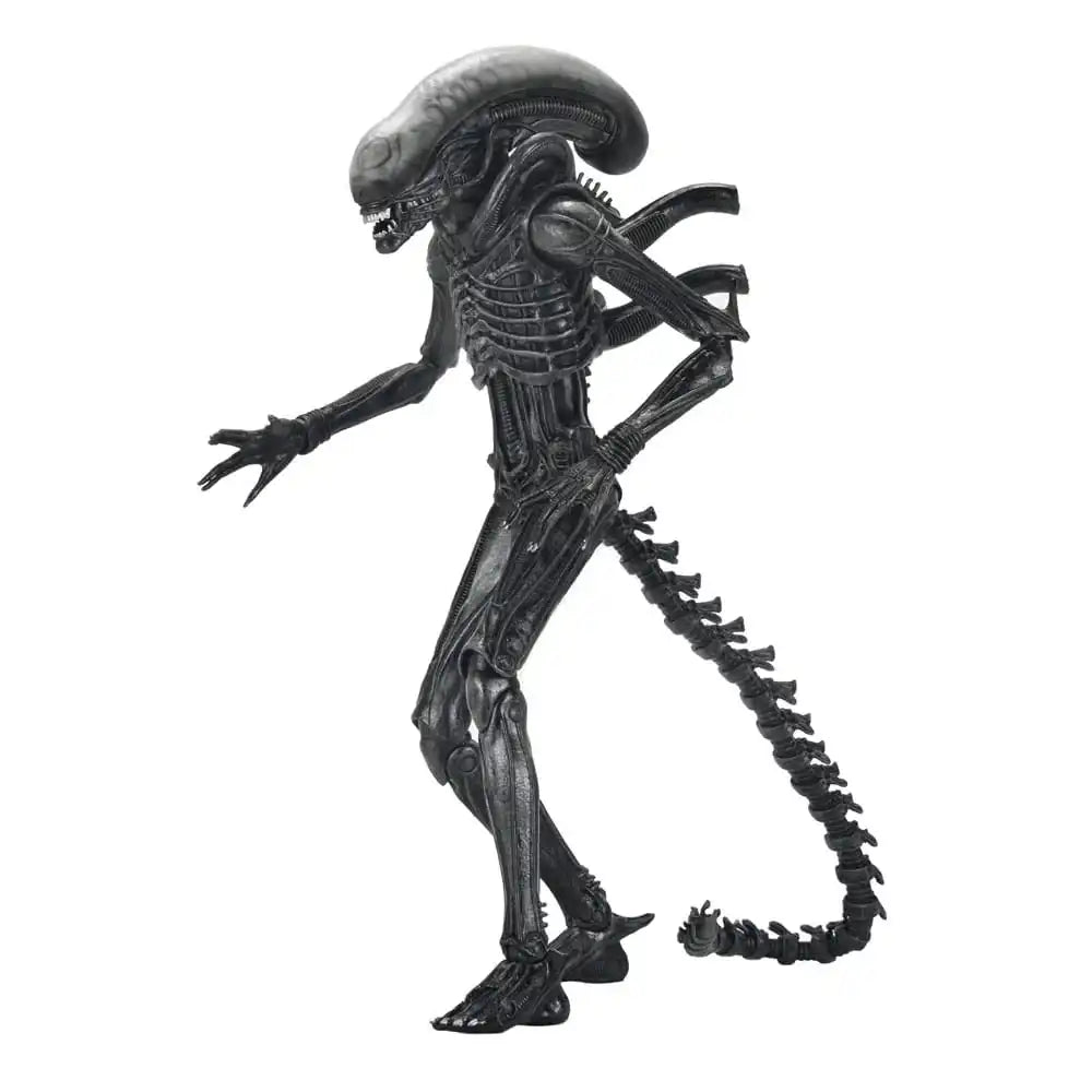 Alien: Romulus Actionfigur Ultimate Xenomorph XX121 18 cm - Smalltinytoystore