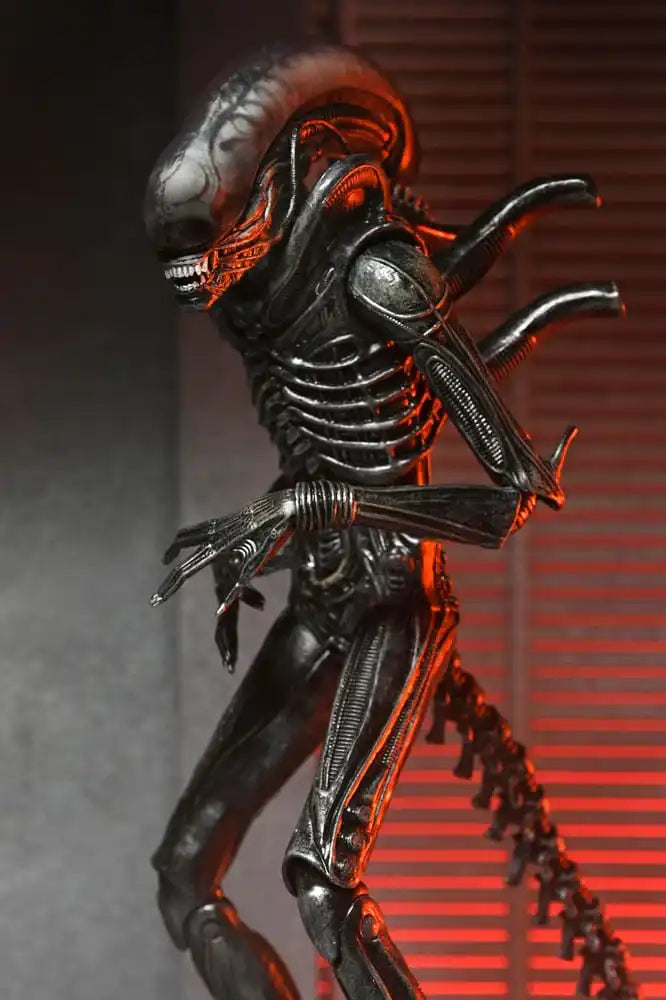 Alien: Romulus Actionfigur Ultimate Xenomorph XX121 18 cm - Smalltinytoystore
