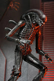 Alien: Romulus Actionfigur Ultimate Xenomorph XX121 18 cm - Smalltinytoystore