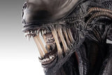 Alien Romulus Büste 1/1 Xenomorph 53 cm - Smalltinytoystore