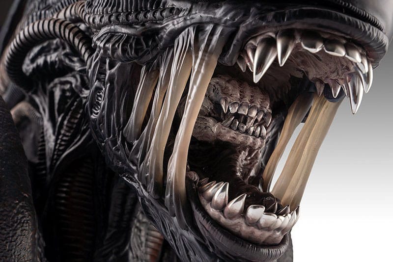 Alien Romulus Büste 1/1 Xenomorph 53 cm - Smalltinytoystore