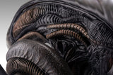 Alien Romulus Büste 1/1 Xenomorph 53 cm - Smalltinytoystore