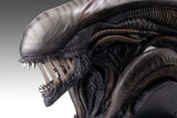 Alien Romulus Büste 1/1 Xenomorph 53 cm - Smalltinytoystore