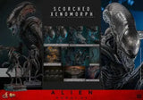 Alien: Romulus Movie Masterpiece Actionfigur 1/6 Scorched Xenomorph 44 cm HOT TOYS - Smalltinytoystore