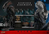 Alien: Romulus Movie Masterpiece Actionfigur 1/6 Scorched Xenomorph 44 cm HOT TOYS - Smalltinytoystore