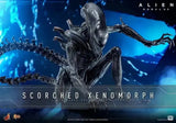 Alien: Romulus Movie Masterpiece Actionfigur 1/6 Scorched Xenomorph 44 cm HOT TOYS - Smalltinytoystore