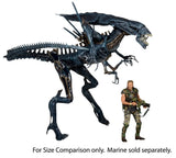 Aliens Ultra Deluxe Actionfigur Alien Queen 38 cm - Smalltinytoystore