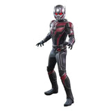 Ant-Man & The Wasp Quantumania Movie Masterpiece 1/6 Ant-Man 30 cm HOT TOYS - Smalltinytoystore