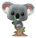 Australian Animals POP! Vinyl Figur Koala (FL) 9 cm