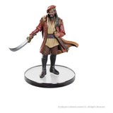 Critical Role Miniaturen vorbemalt Exandria Unlimited - Calamity Boxed Set - Smalltinytoystore