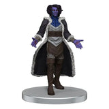 Critical Role Miniaturen vorbemalt The Tombtakers Boxed Set - Smalltinytoystore