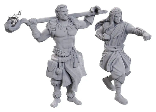 D&D Nolzur's Marvelous Miniatures Miniaturen unbemalt 2er-Pack Archdruid & Martial Arts Adept - Smalltinytoystore