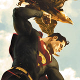 DC Comics Kunstdruck Superman 61 x 41 cm - ungerahmt - Smalltinytoystore