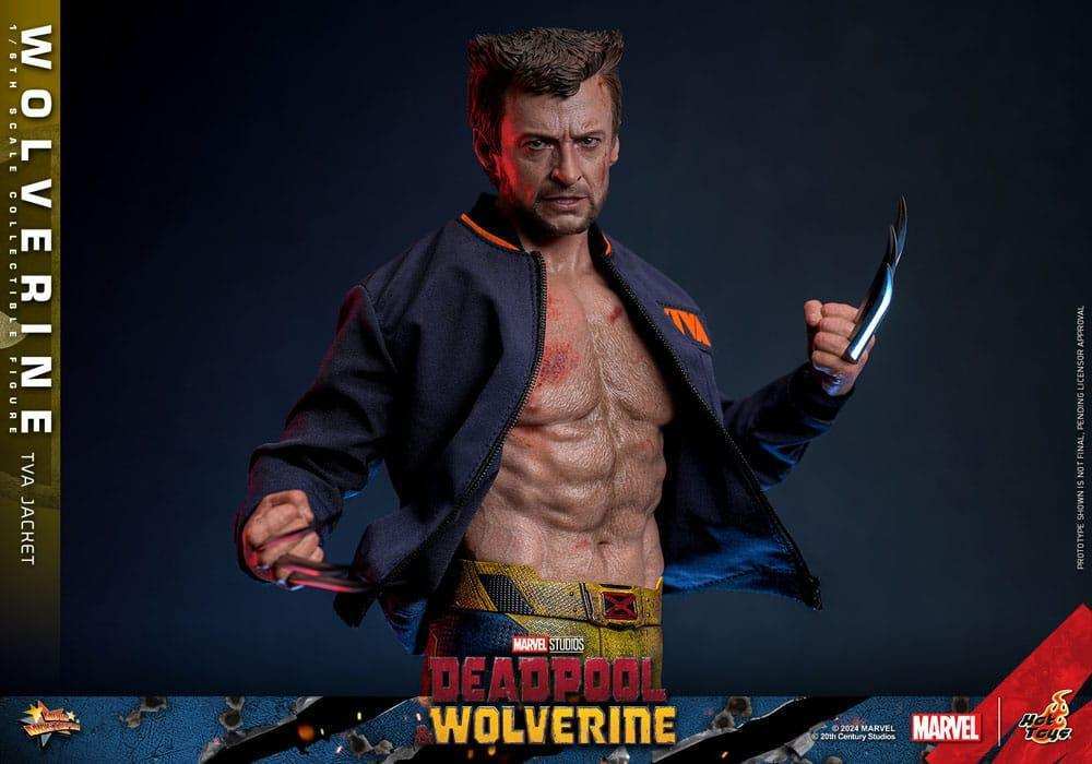 Deadpool & Wolverine Movie Masterpiece 1/6 Wolverine (TVA Jacket Version) HOT TOYS - Smalltinytoystore