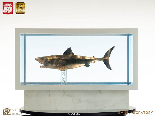 Der weiße Hai Maquette 1/18 Jaws Bronze 60 cm - Smalltinytoystore