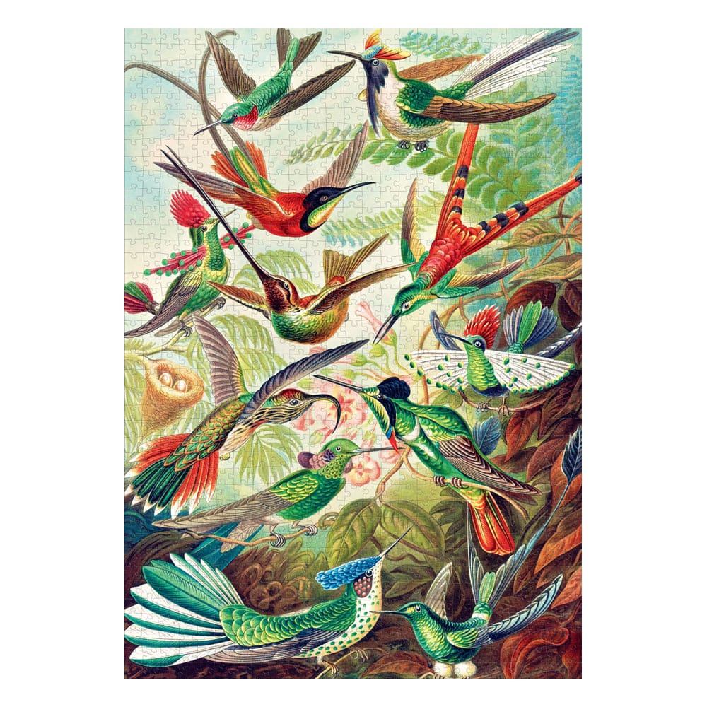 Ernst Haeckel Imagination Puzzle Hummingbirds/Kolibry (1000 Teile) - Smalltinytoystore