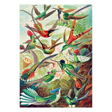 Ernst Haeckel Imagination Puzzle Hummingbirds/Kolibry (1000 Teile) - Smalltinytoystore