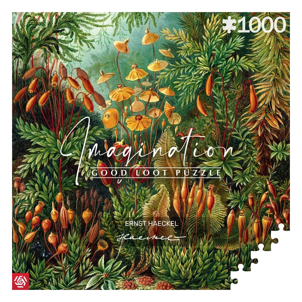 Ernst Haeckel Imagination Puzzle Muscinae (1000 Teile) - Smalltinytoystore