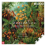 Ernst Haeckel Imagination Puzzle Muscinae (1000 Teile) - Smalltinytoystore
