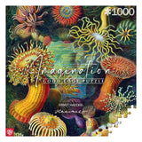 Ernst Haeckel Imagination Puzzle Sea Anemones/Stworzenia morskie (1000 Teile) - Smalltinytoystore