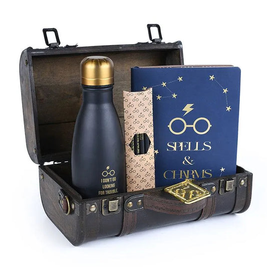 Harry Potter Geschenkbox Trouble Finds Me - Smalltinytoystore