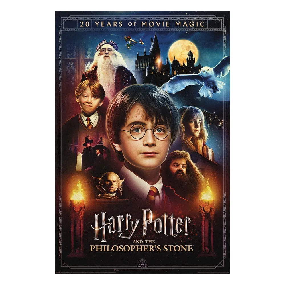 Harry Potter Poster Set 20 Years of Movie Magic 61 x 91 cm (4) - Smalltinytoystore