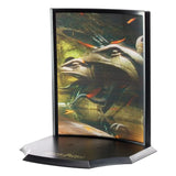 Harry Potter Toyllectible Treasure Statue Fawkes Fawkes to the Rescue 13 cm - Smalltinytoystore