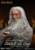 Herr der Ringe Dynamic 8ction Heroes Actionfigur 1/9 Gandalf der Graue 21 cm - Smalltinytoystore