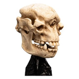 Herr der Ringe Mini Statue Skull of a Cave Troll 21 cm - Smalltinytoystore