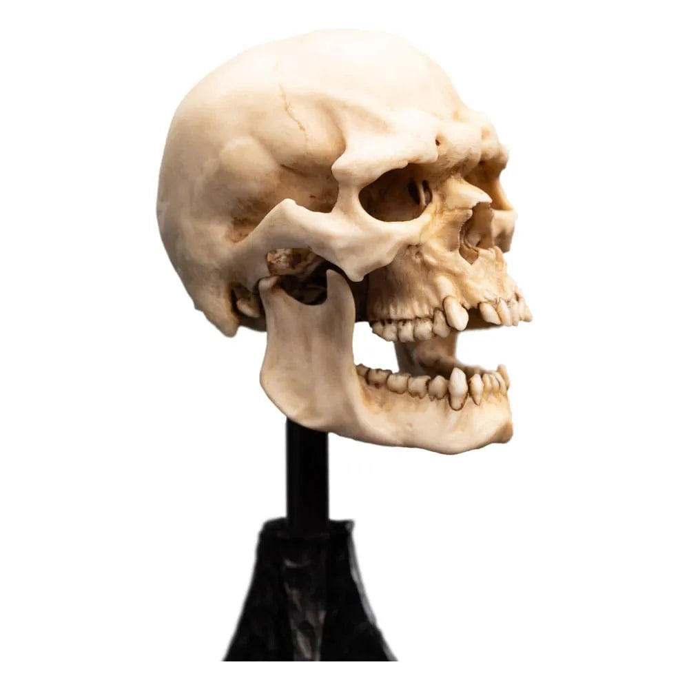 Herr der Ringe Mini Statue Skull of a Mordor Orc 14 cm - Smalltinytoystore