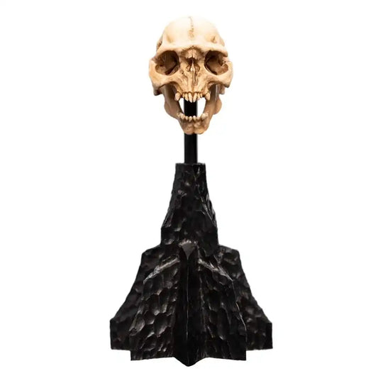 Herr der Ringe Mini Statue Skull of a Moria Orc 13 cm - Smalltinytoystore