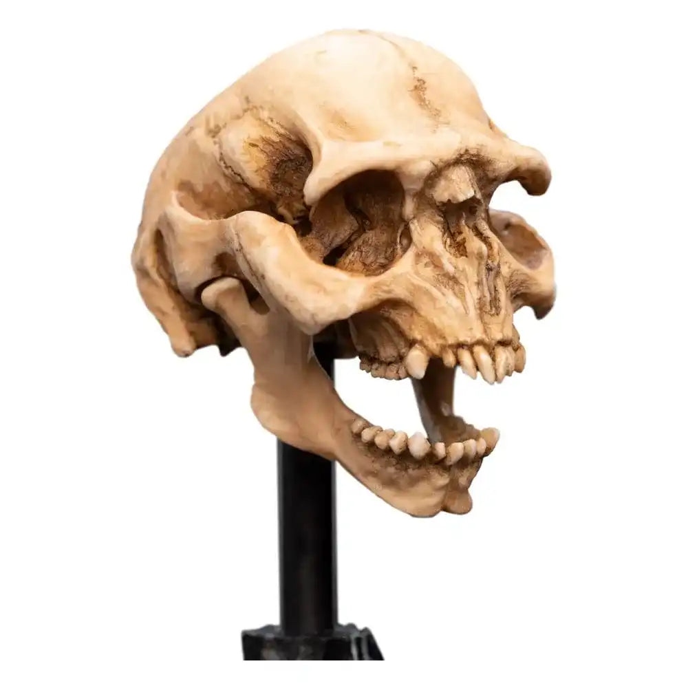 Herr der Ringe Mini Statue Skull of a Moria Orc 13 cm - Smalltinytoystore