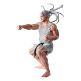 Hunter X Hunter Hunting Archives PVC Statue Netero 18 cm - Smalltinytoystore