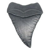 Jaws Medaille 50th Anniversary Shark Tooth - Smalltinytoystore