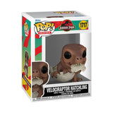 Jurassic Park Hatchling POP! Movies Vinyl Figur Velociraptor 9 cm - Smalltinytoystore