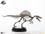 Jurassic Park III ECC Elite Creature Line Statue 1/24 Spinosaurus Skeleton Bronze 27 cm - Smalltinytoystore