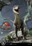 Jurassic Park III Legacy Museum Collection Statue 1/6 Velociraptor Male 40 cm - Smalltinytoystore
