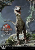 Jurassic Park III Legacy Museum Collection Statue 1/6 Velociraptor Male 40 cm - Smalltinytoystore