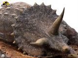 Jurassic Park Maquette 1/8 Sick Triceratops 96 cm