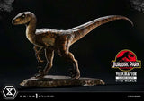 Jurassic Park Prime Collectibles Statue 1/10 Velociraptor Closed Mouth 19 cm - Smalltinytoystore