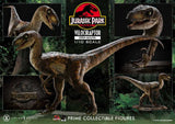 Jurassic Park Prime Collectibles Statue 1/10 Velociraptor Open Mouth 19 cm - Smalltinytoystore