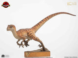 Jurassic Park Statue 1/4 The Lost World: Jurassic Park Male Velociraptor 63 cm - Smalltinytoystore