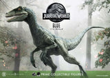 Jurassic World: Fallen Kingdom Prime Collectibles Statue 1/10 Blue (Open Mouth Version) 17 cm - Smalltinytoystore