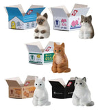 Machiboke Cats Gashapon Blind Packs Minifiguren 4 cm Display (20)