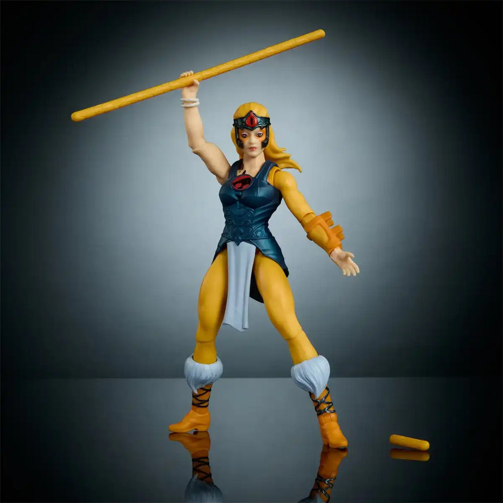 Masters of the Universe Thundercats Wave 1 Cheetara - Smalltinytoystore