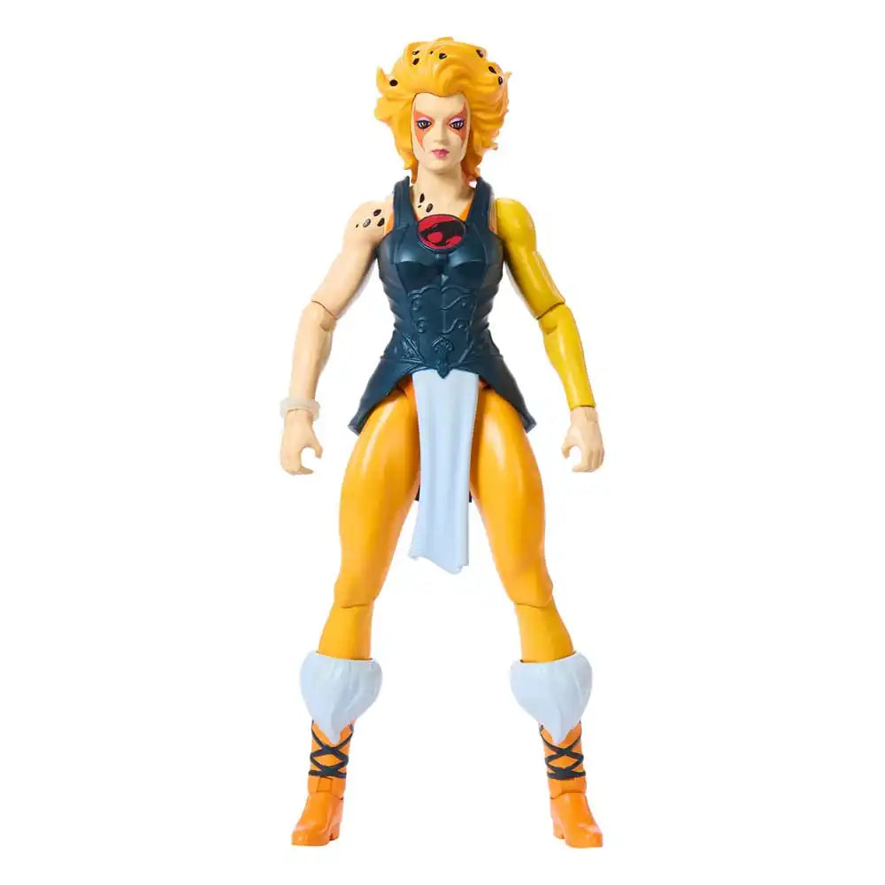 Masters of the Universe Thundercats Wave 1 Cheetara - Smalltinytoystore