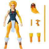 Masters of the Universe Thundercats Wave 1 Cheetara - Smalltinytoystore
