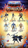 Masters of the Universe Thundercats Wave 2 He-Man - Smalltinytoystore