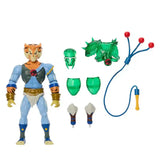 Masters of the Universe Thundercats Wave 2 Tygra - Smalltinytoystore